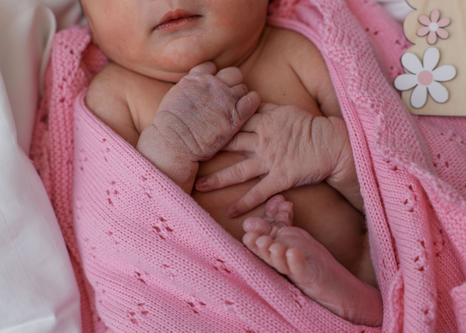 Newborn baby wrapped in a soft pink knitted blanket with tiny wrinkled hands visible.
by Andrew Fein Photography - Family and Newborn Photo