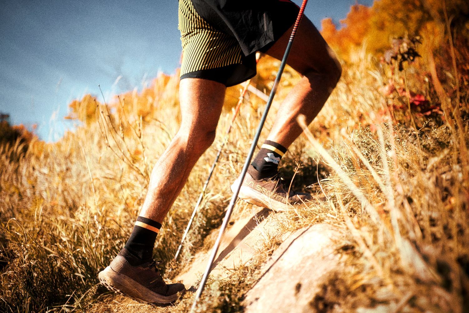 Person trail running on rocky mountain path with trekking poles, wearing shorts and trail shoes among golden grasses.