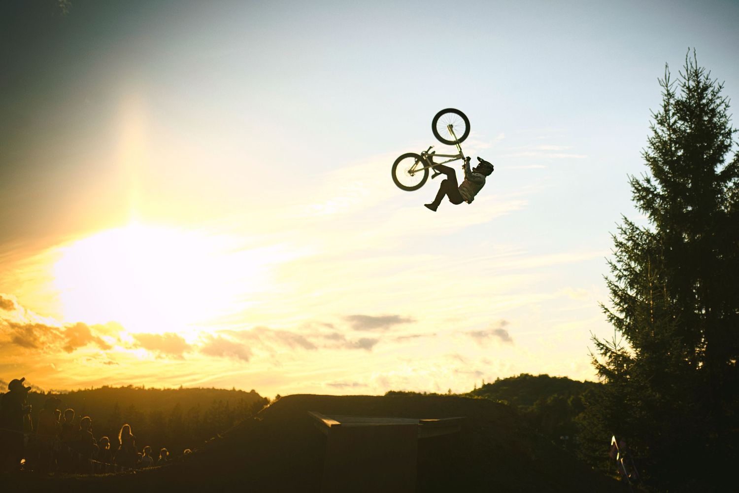 Silhouette of a BMX rider performing a dramatic aerial trick at sunset with a tall pine tree in the background.