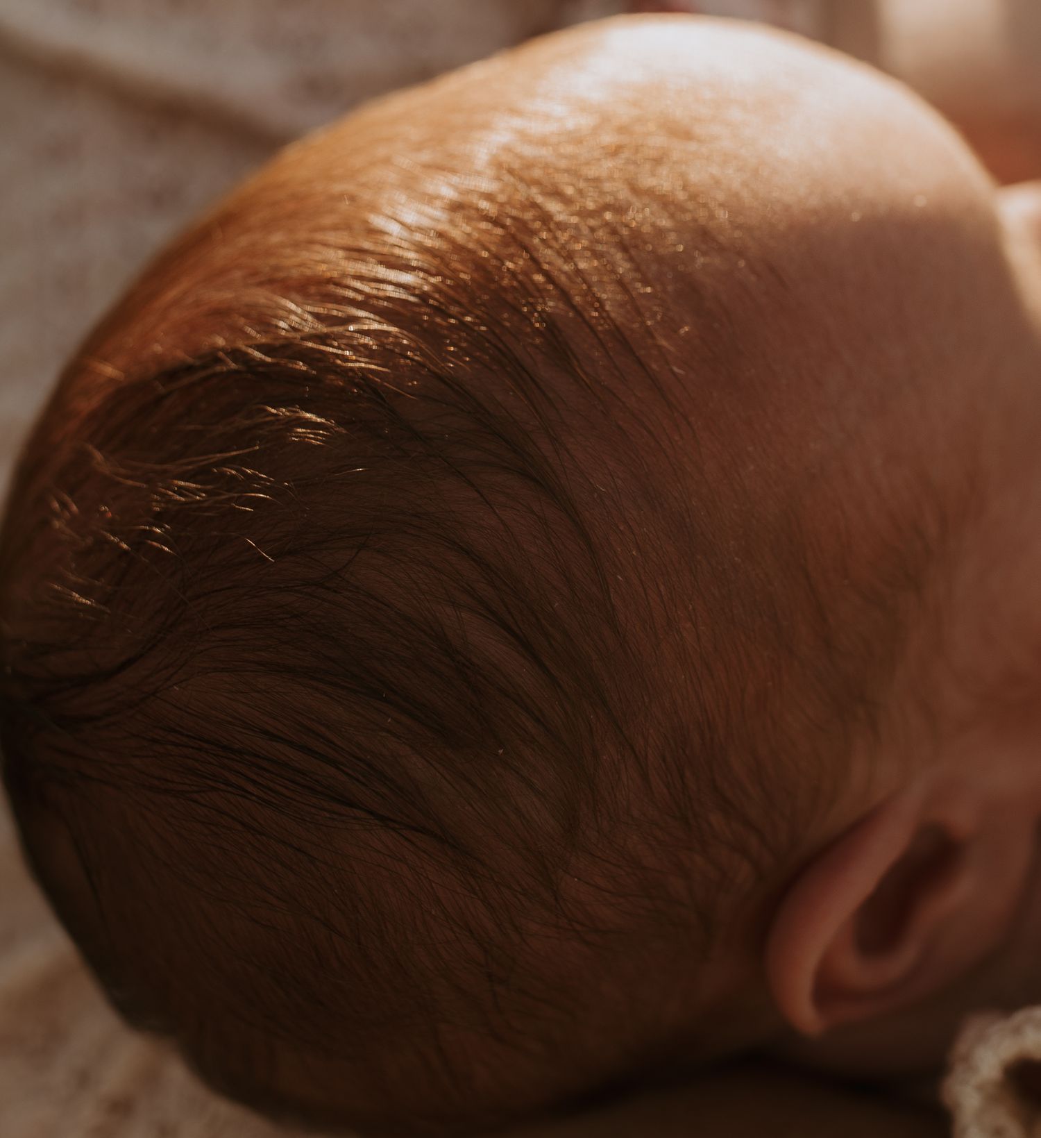 Close-up of a newborn baby's head with fine reddish-brown hair in warm golden light.
