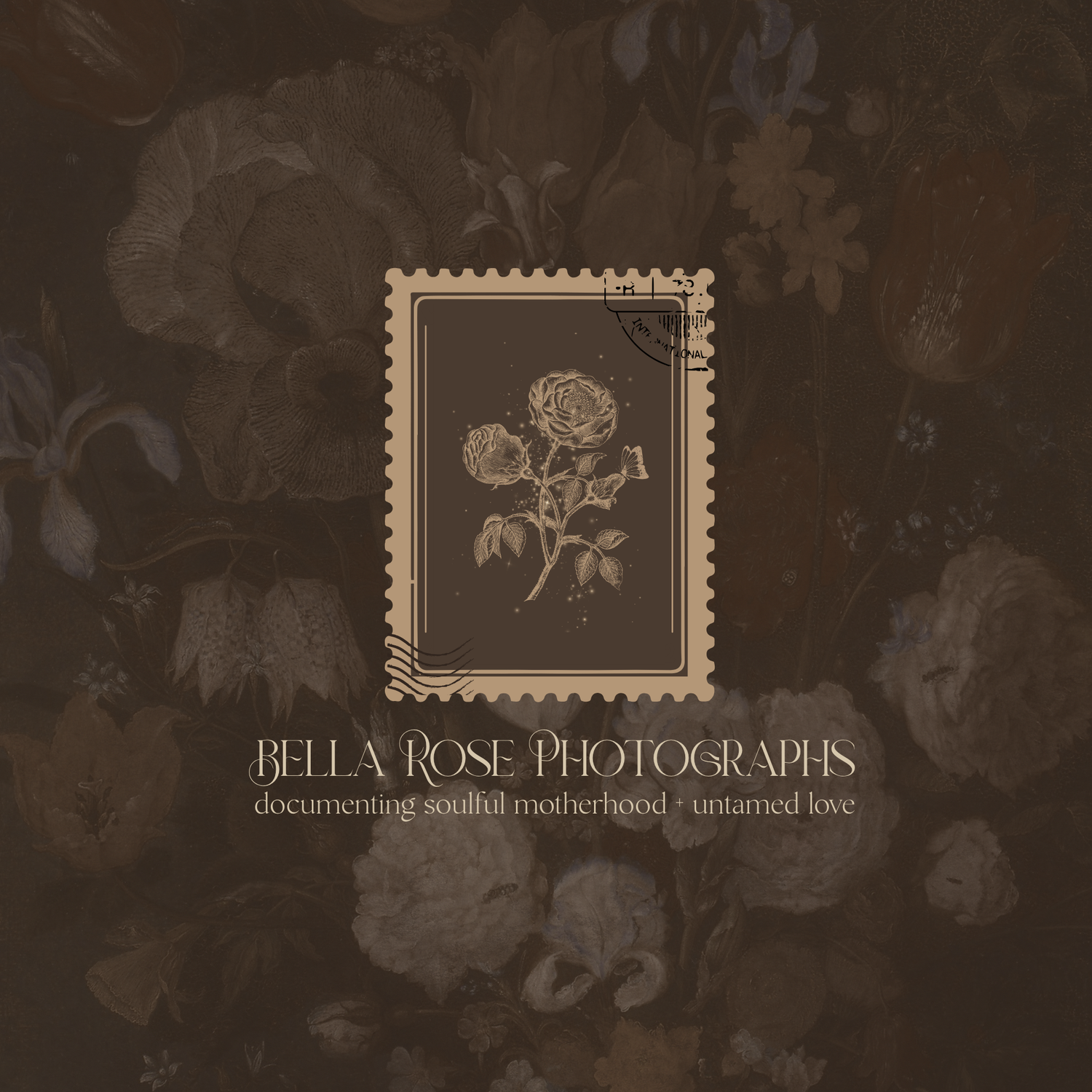 Bella Rose Photographs branding with vintage stamp rose illustration on dark floral background.