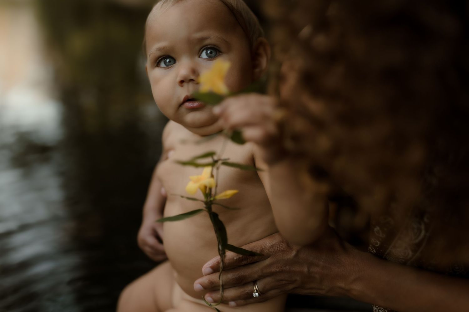 Close-up of baby holding yellow flower with curly-haired mother in soft natural light outdoors.