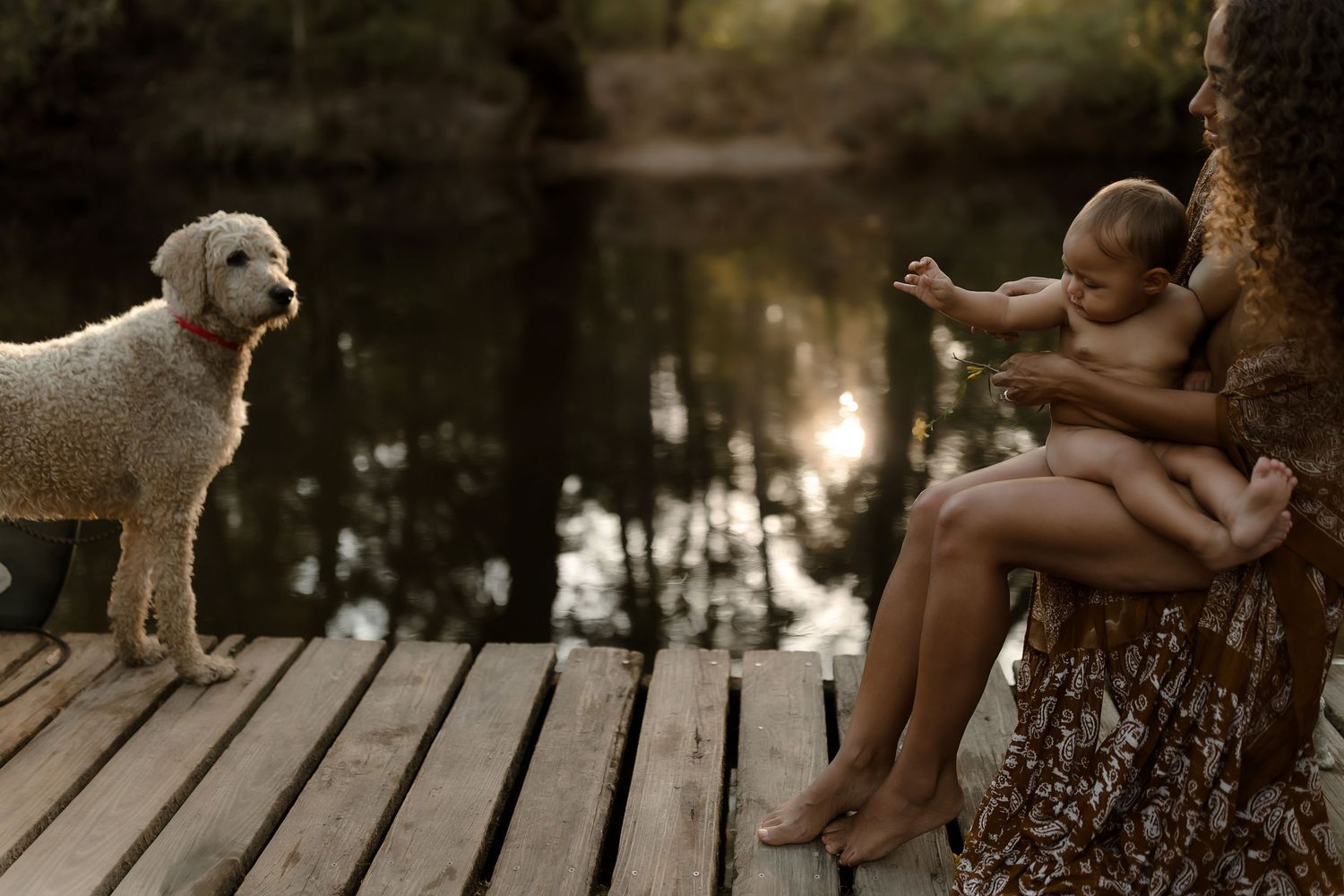 A mother holds her baby on a wooden dock while a fluffy white dog watches near a forest river.