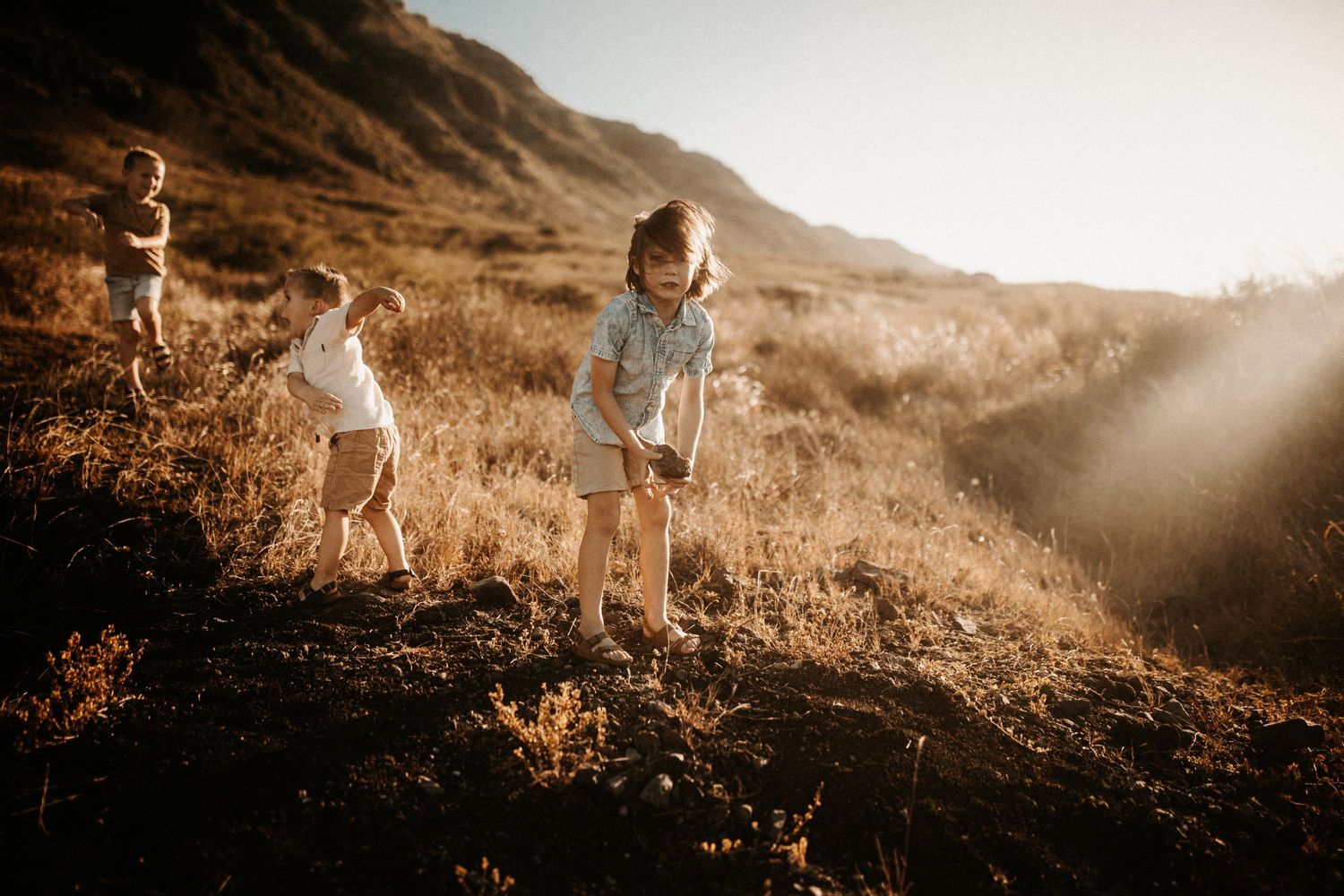 Two young children playing on a sunlit hillside with golden grass.