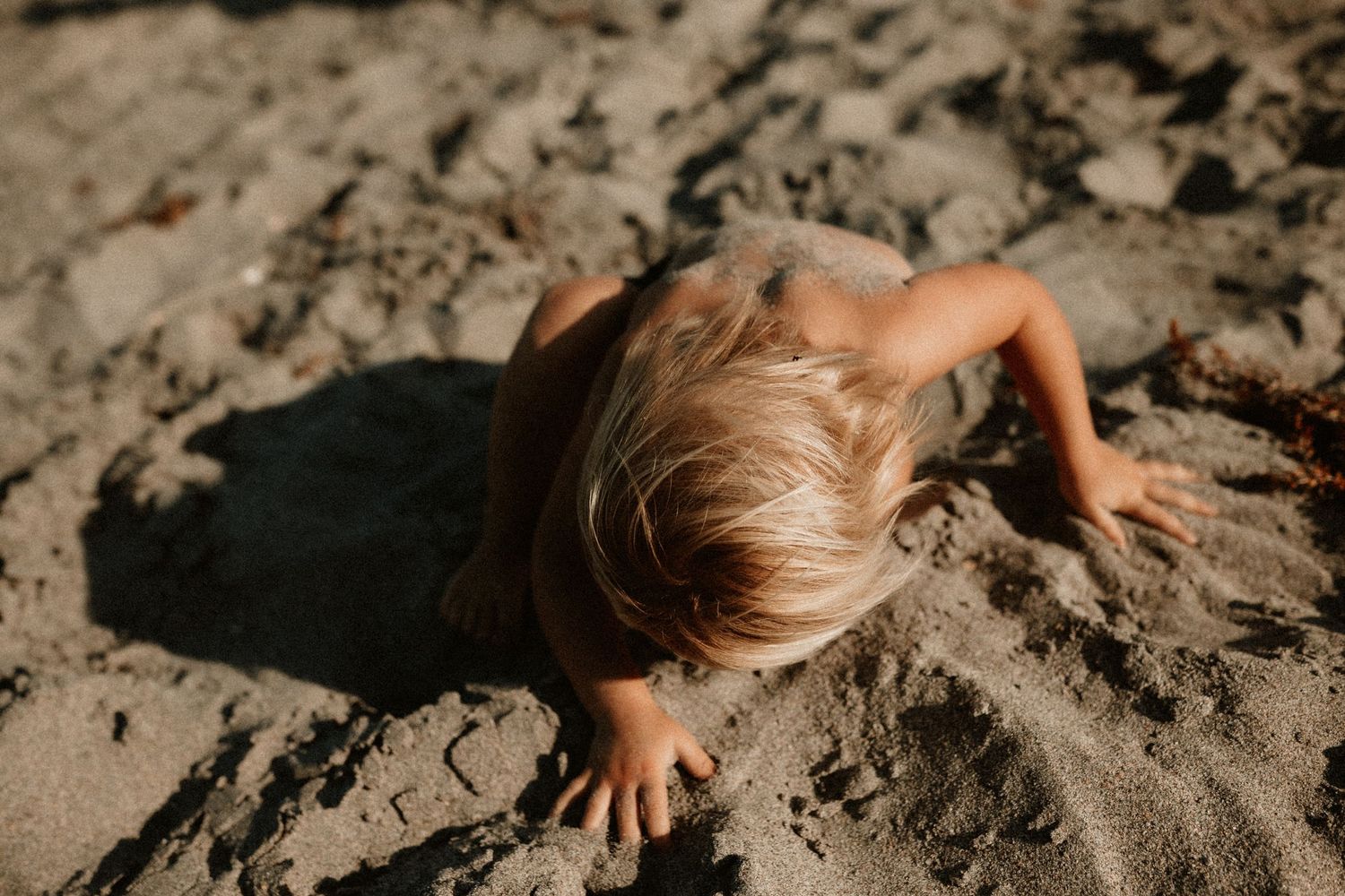 Young blonde toddler crawling in sand at sunny beach.
