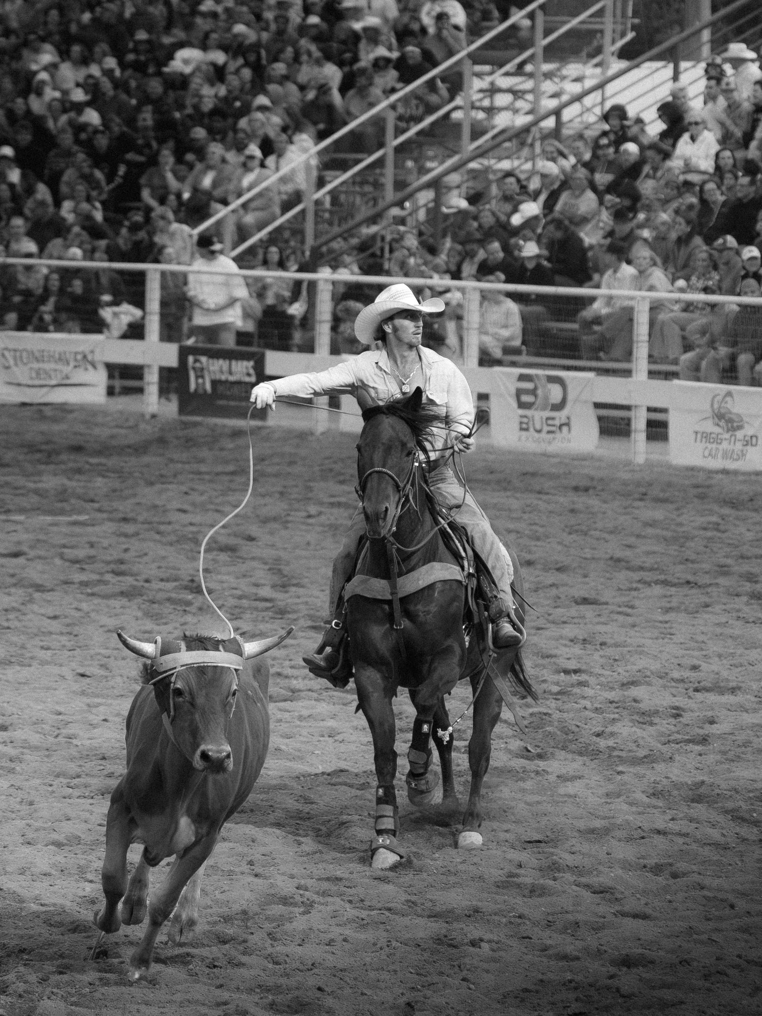 Rodeo Shot