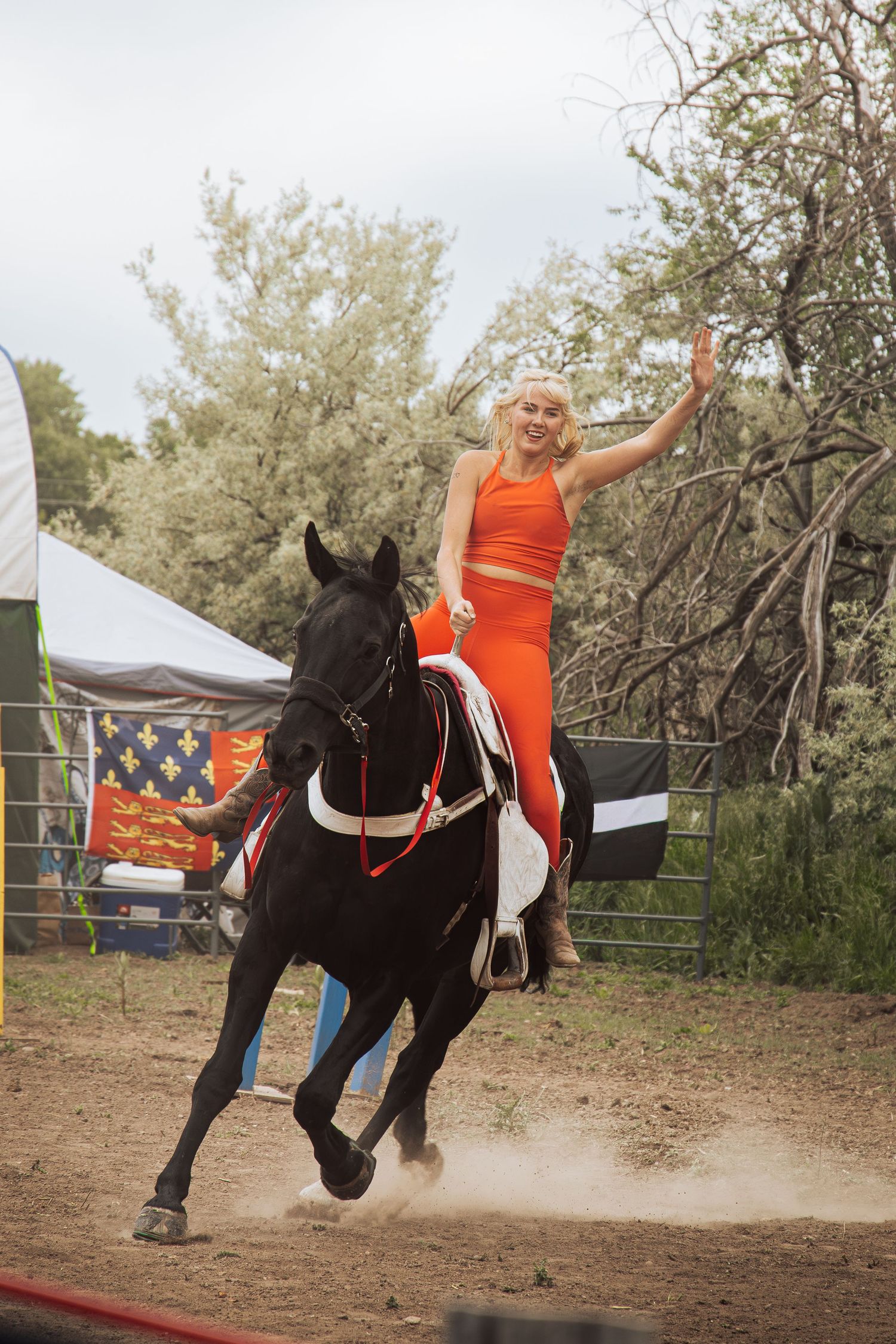 Horse Shots