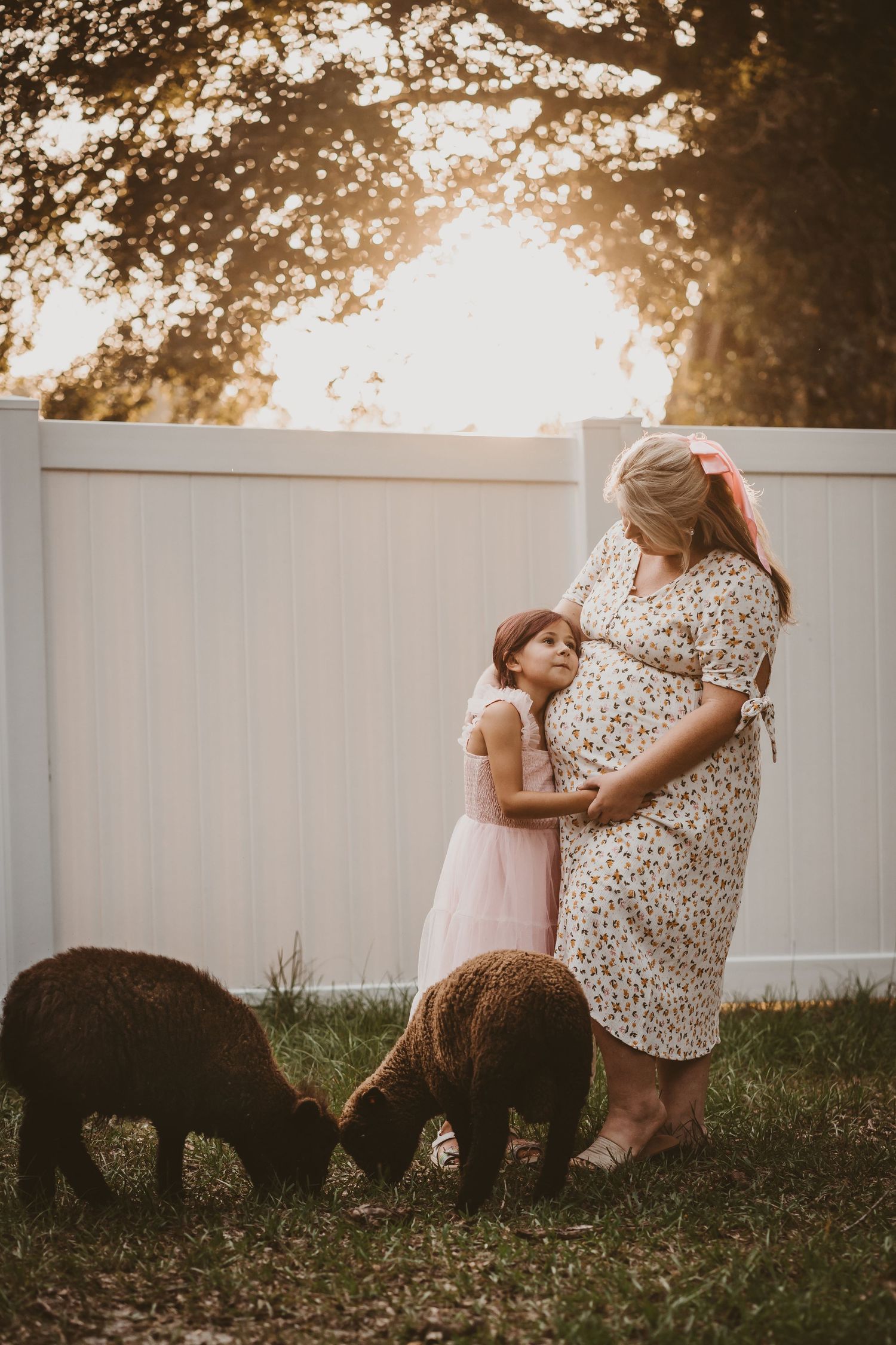 Pregnant mother and daughter stand together watching alpacas graze in golden backyard light.