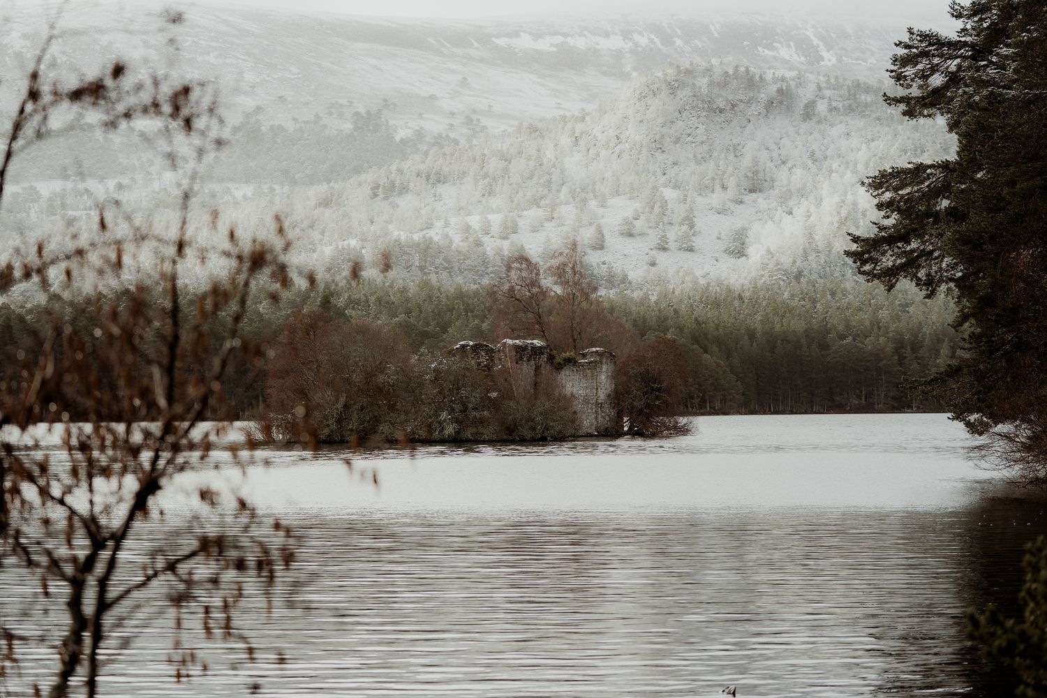 Misty winter lake with snow-dusted forested hills and a bird in flight over calm grey waters.