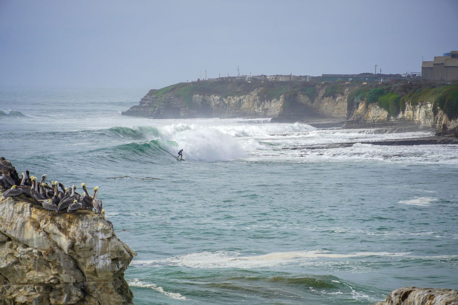 Santa Cruz, CA