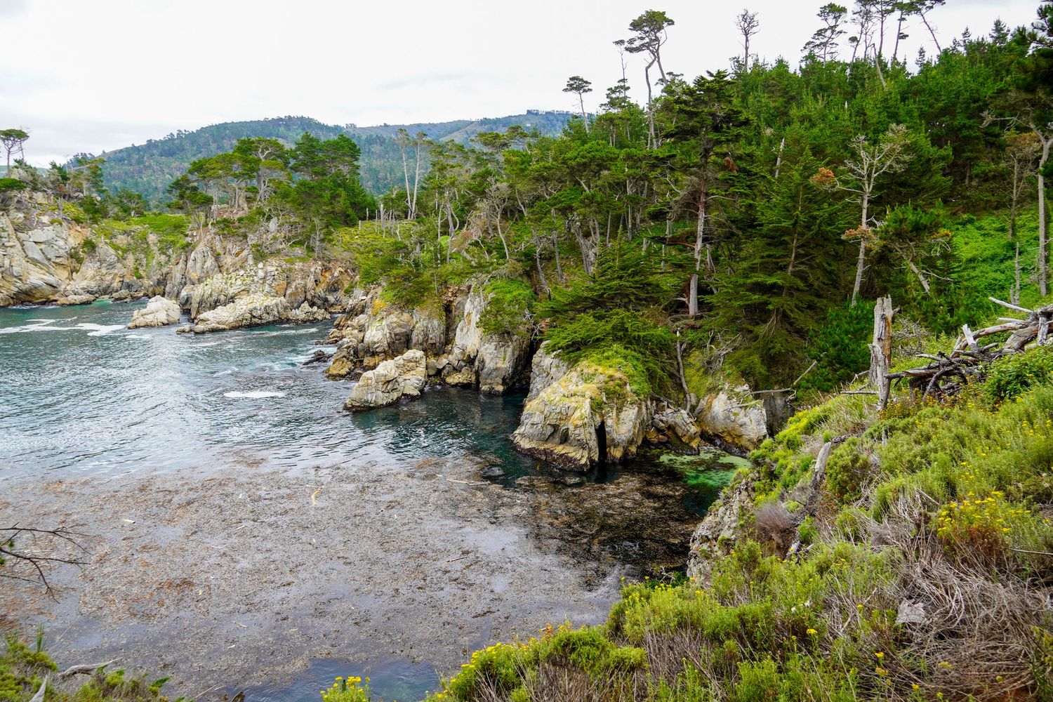 Point Lobos, CA
