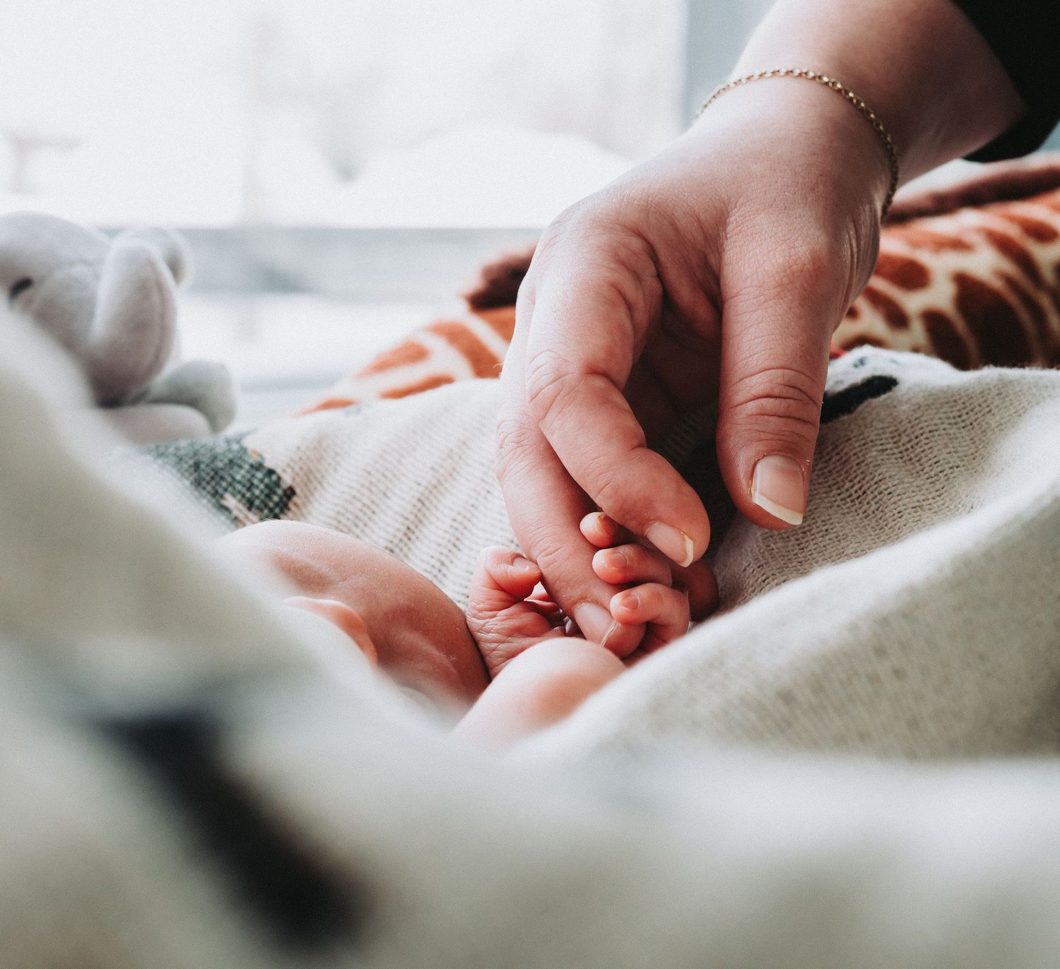 An adult hand gently holding a newborn baby's tiny feet wrapped in a soft blanket.
