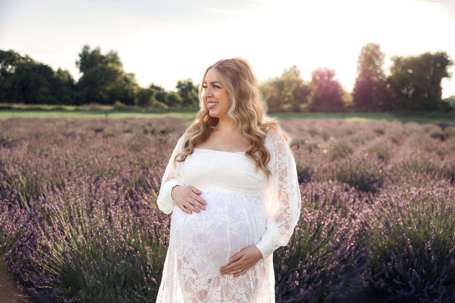 Maternity photo in lavender fields in golden light in Milan Michigan by family photographer Rachel Martinez