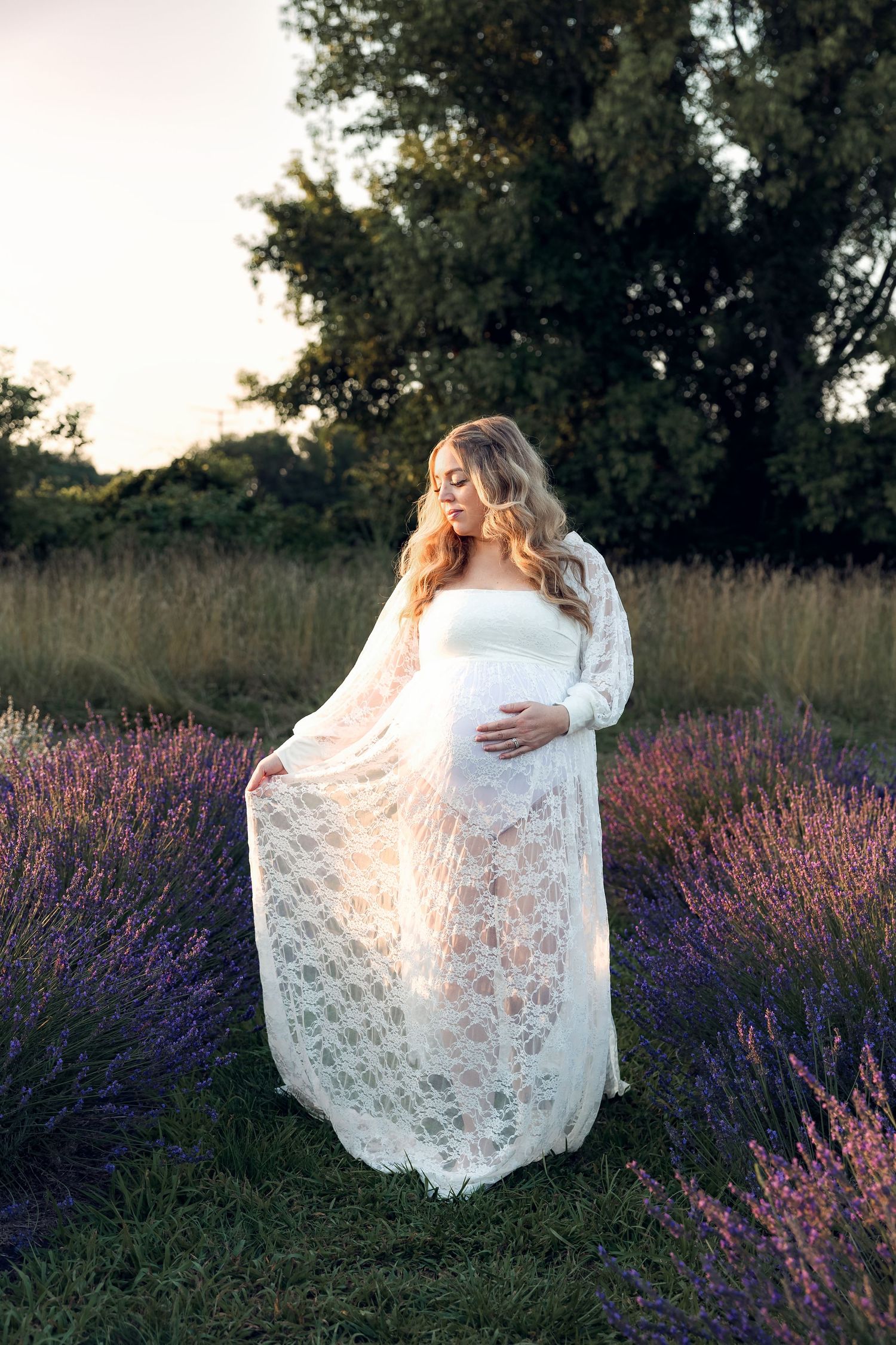 Pregnant woman in white dress strolls lavender fields in Milan Michigan by Rachel Martinez Photography