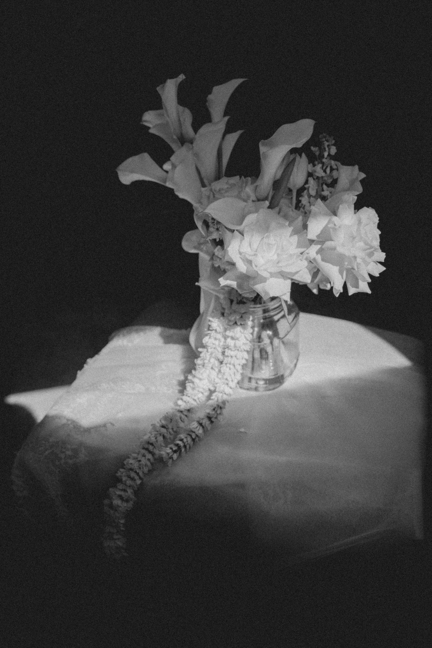 Black and white sequence showing a flower bloom gradually opening and unfolding against a dark background.