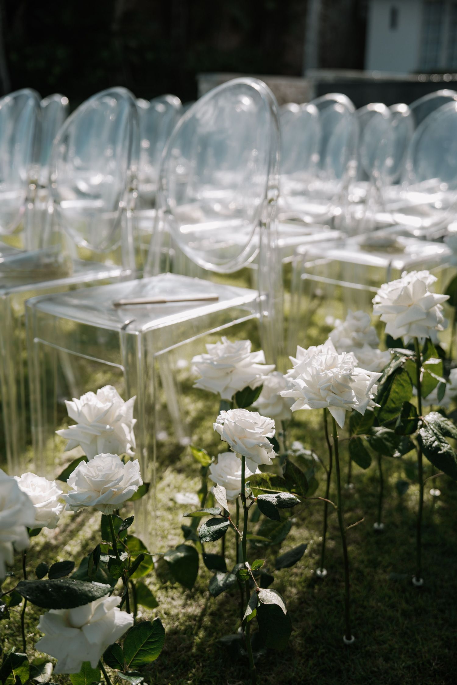 White carnation flowers bloom in a garden under glass domes creating an ethereal greenhouse display.