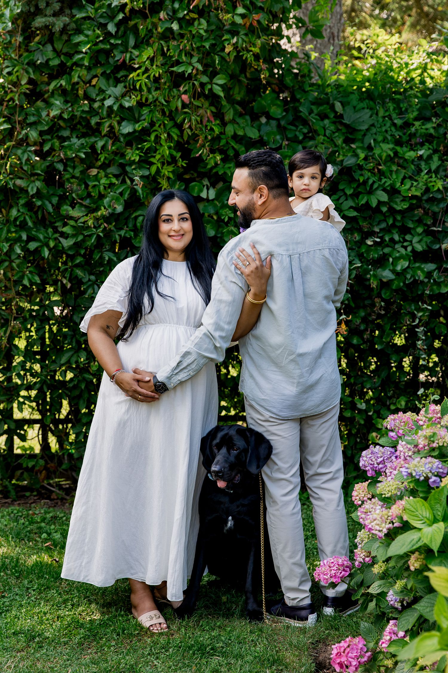 Family poses for a maternity photo in a garden with pink hydrangeas and their black lab dog on a sunny day.