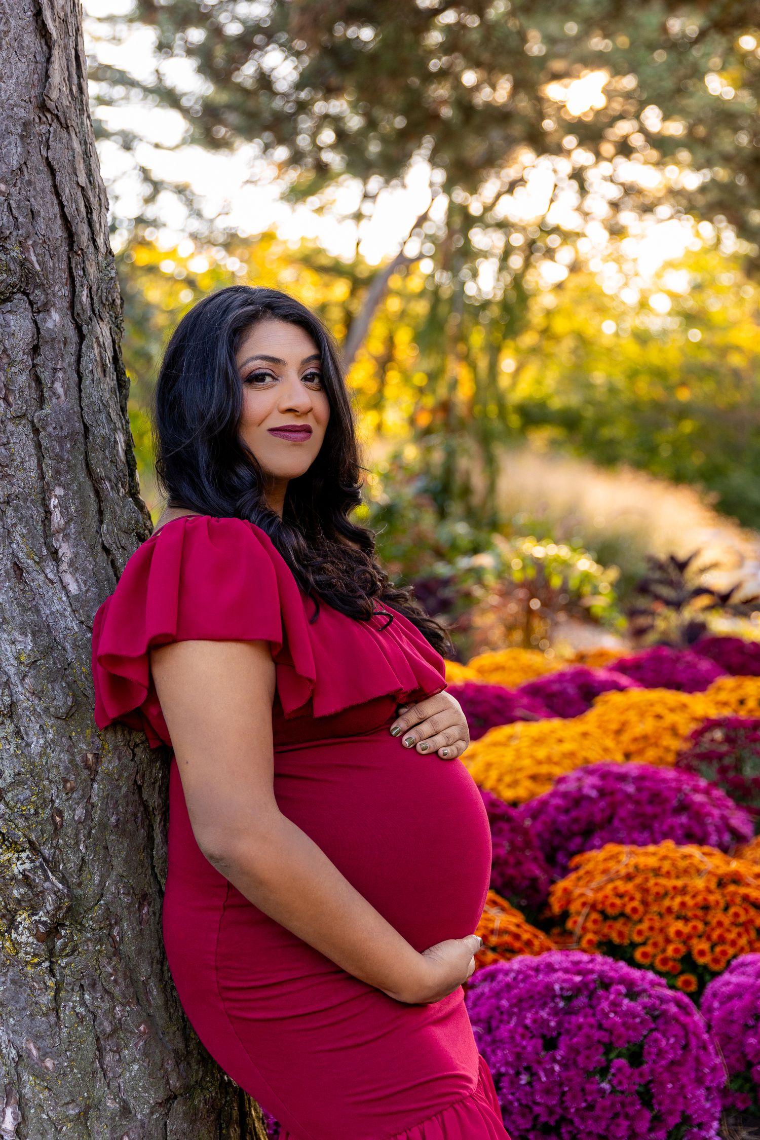 Expecting mother in a burgundy dress poses near colourful autumn mums during sunset in a garden setting.