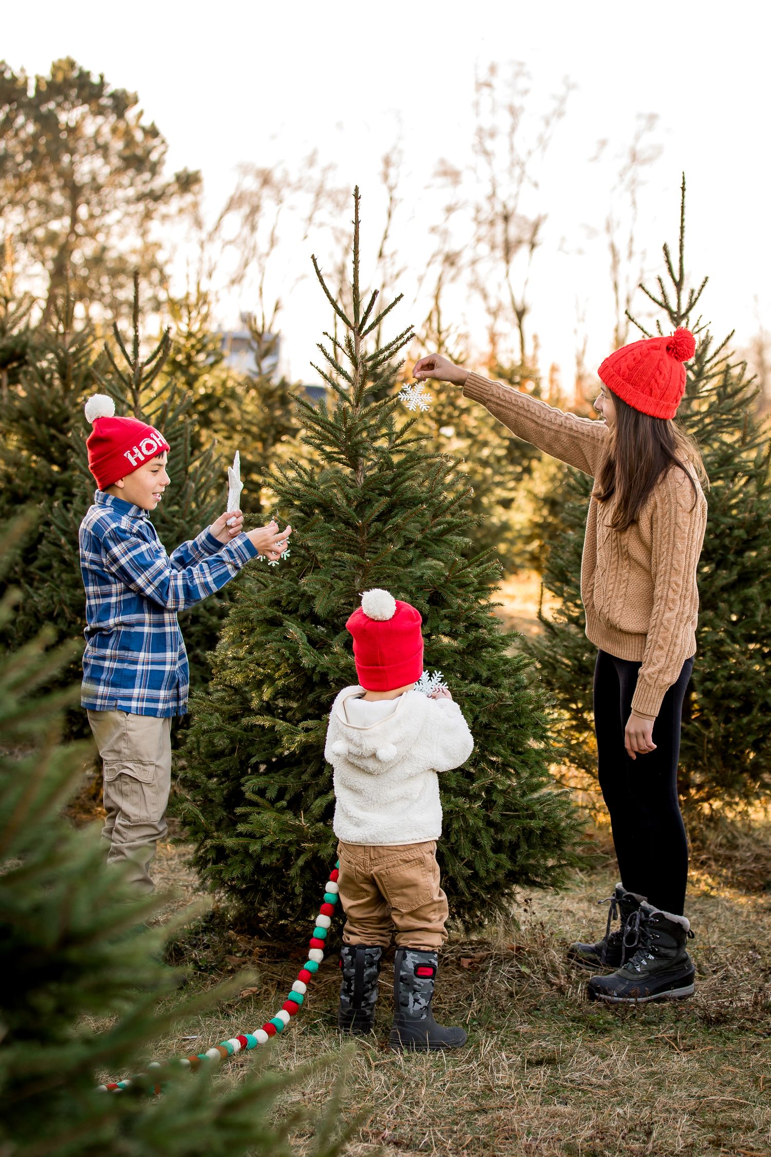 Family wearing red winter hats decorates a Christmas tree at sunset among evergreen trees at Andrew's tree farm.