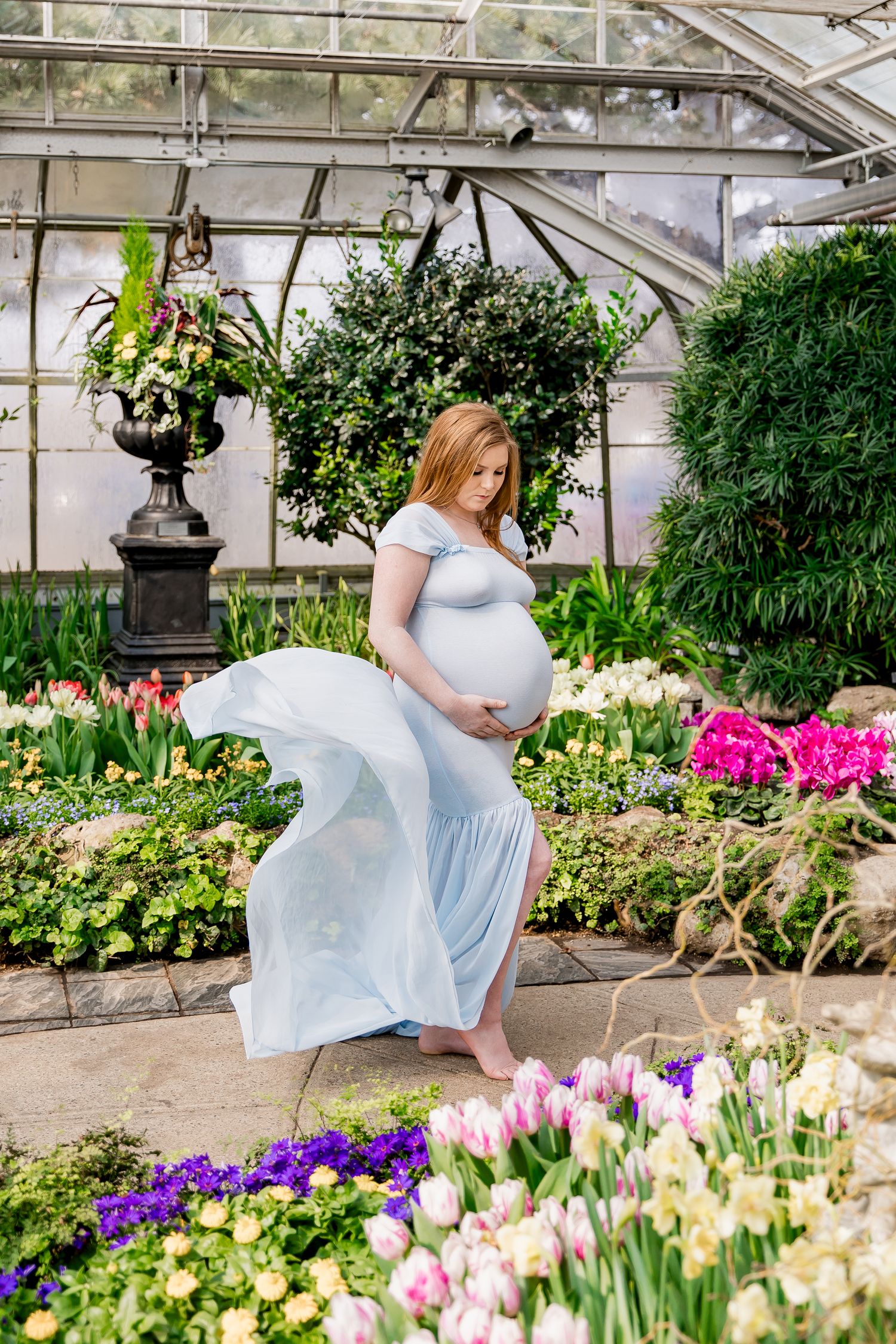 Light blue maternity dress flows in a greenhouse filled with colorful spring tulips and flowering plants.