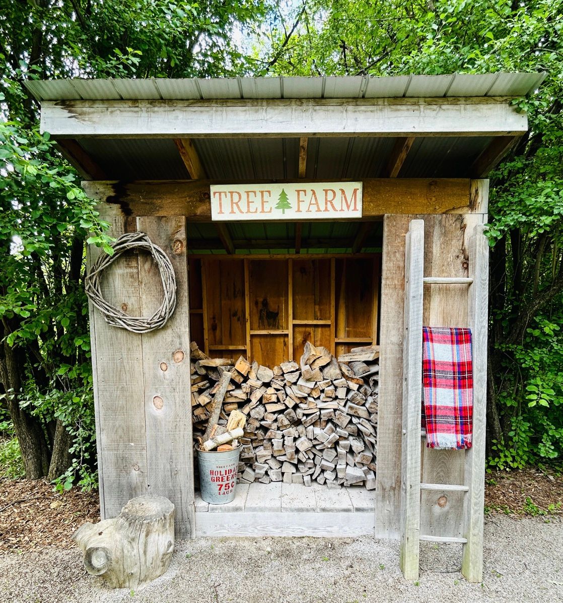 A rustic wooden shed with a 'Tree Farm' sign and stacked firewood inside features a vintage ladder and plaid blanket.