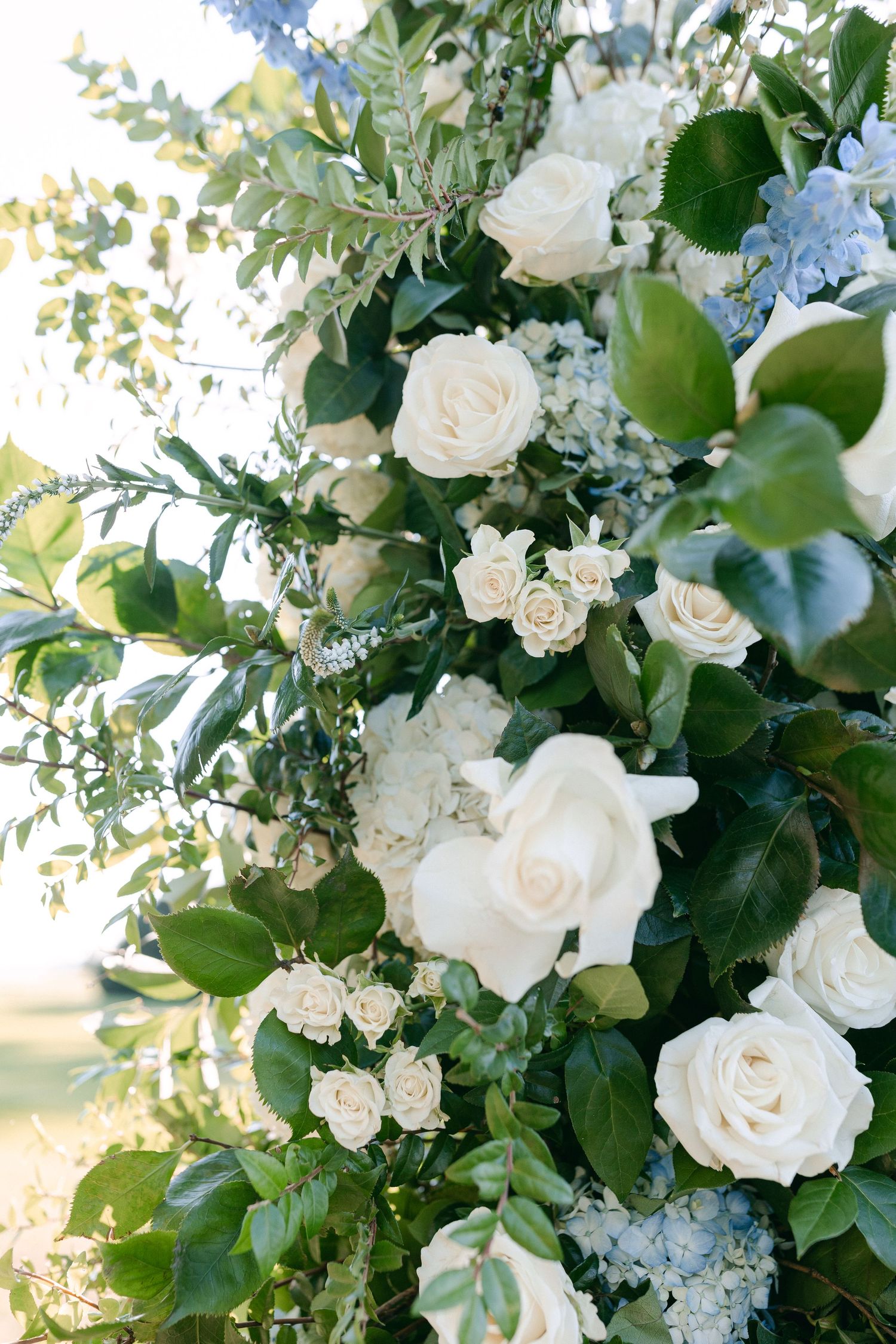 White roses and greenery create elegant floral arrangement with natural sunlight.