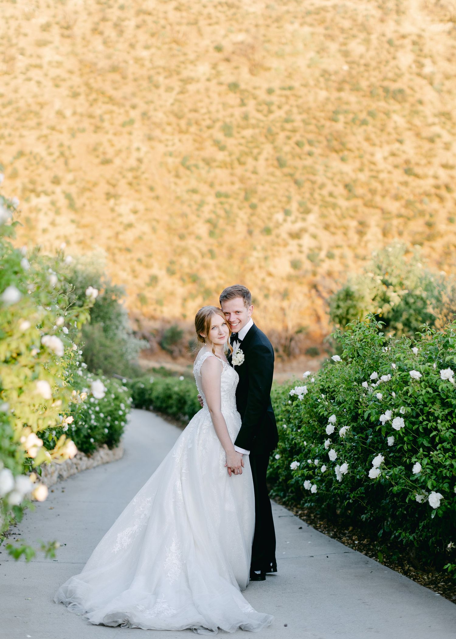 A romantic wedding photoshoot along a garden path lined with blooming white roses.