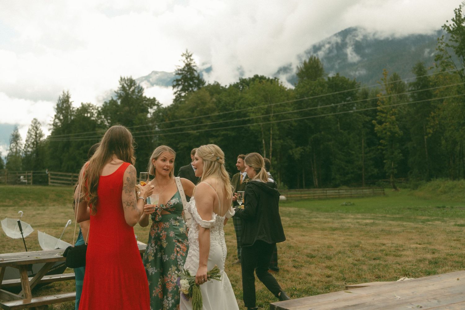 Wedding celebration on a scenic mountain hillside with evergreen trees in the background.