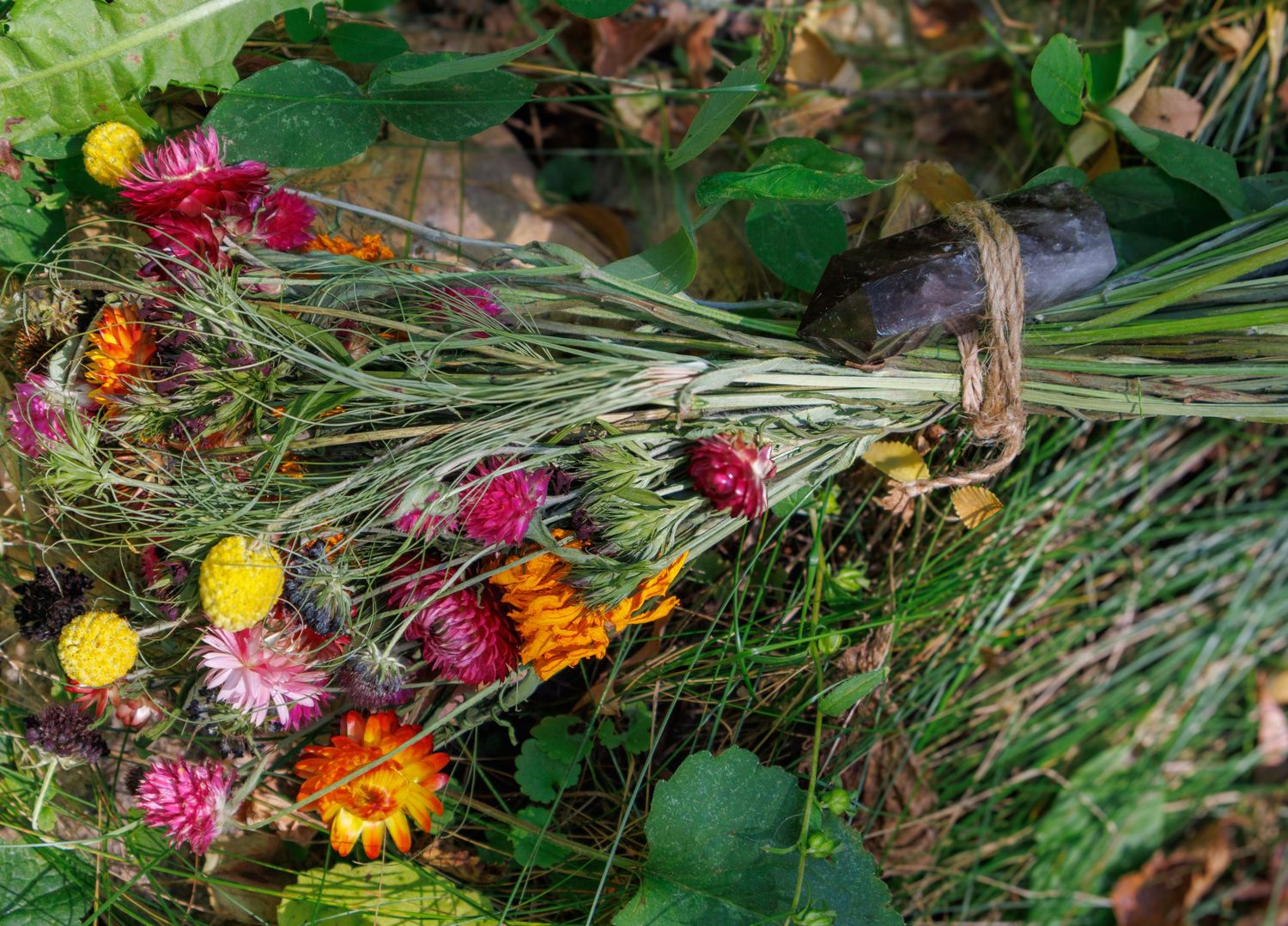Colorful wildflowers and foliage arranged in a natural setting.