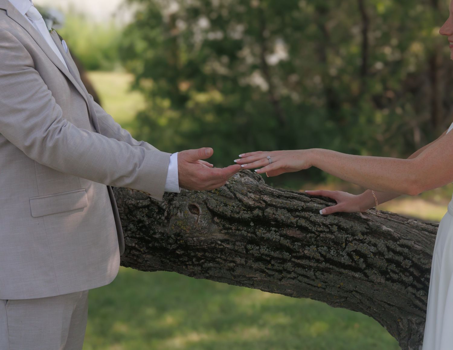Close-up of newlyweds holding hands while leaning against a tree branch.