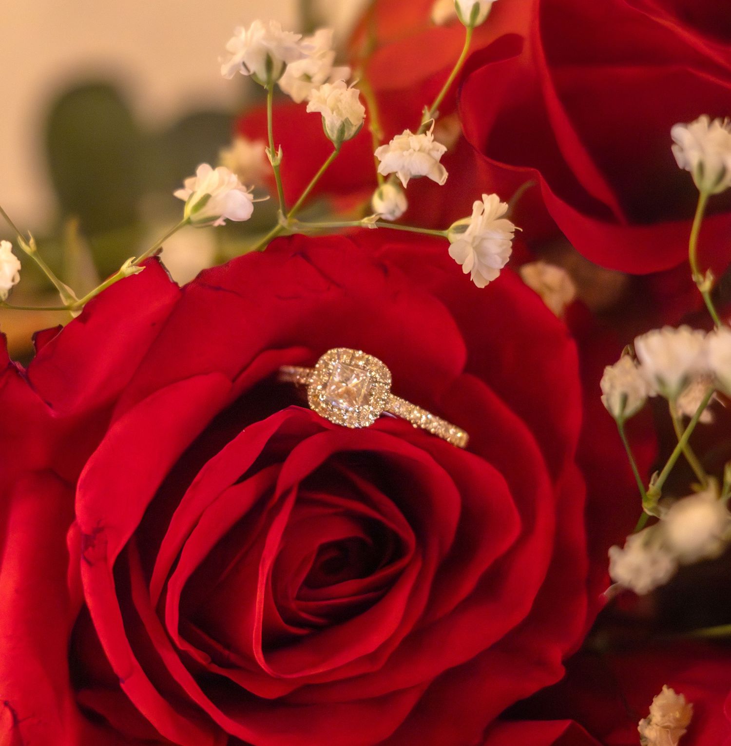 Diamond engagement ring nestled in a red rose with baby's breath flowers.