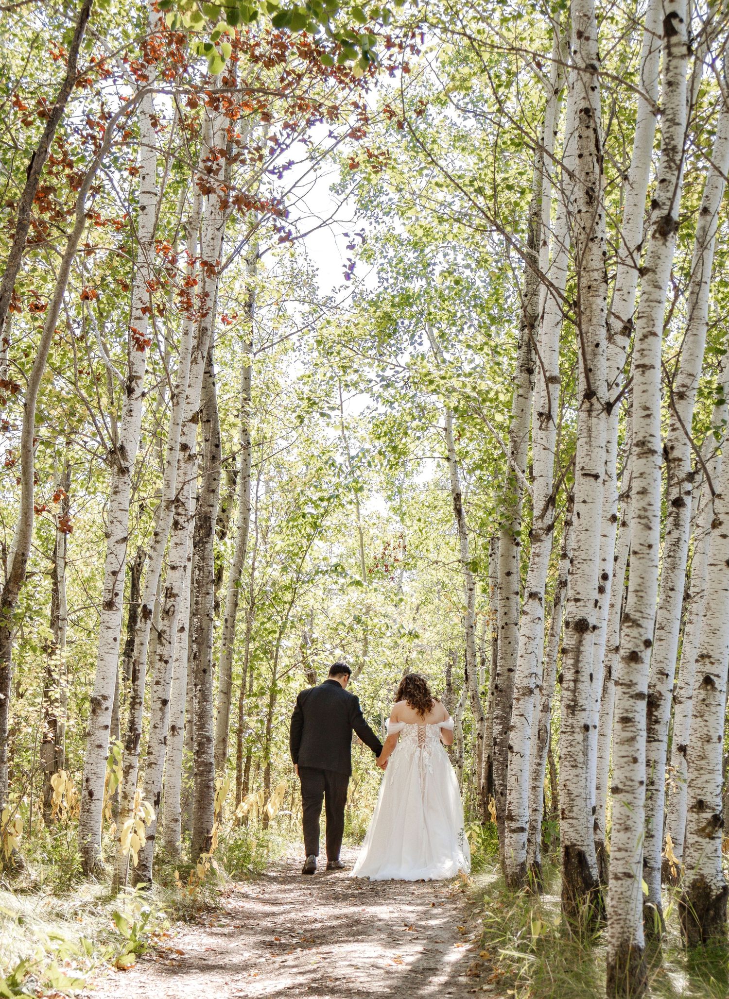 Wedding couple walks through a scenic birch tree forest path on their special day.