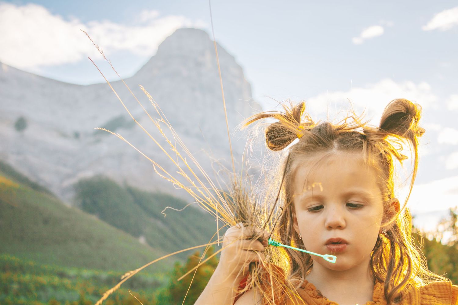 A child blows on wheat stalks against a majestic mountain backdrop in golden sunlight.