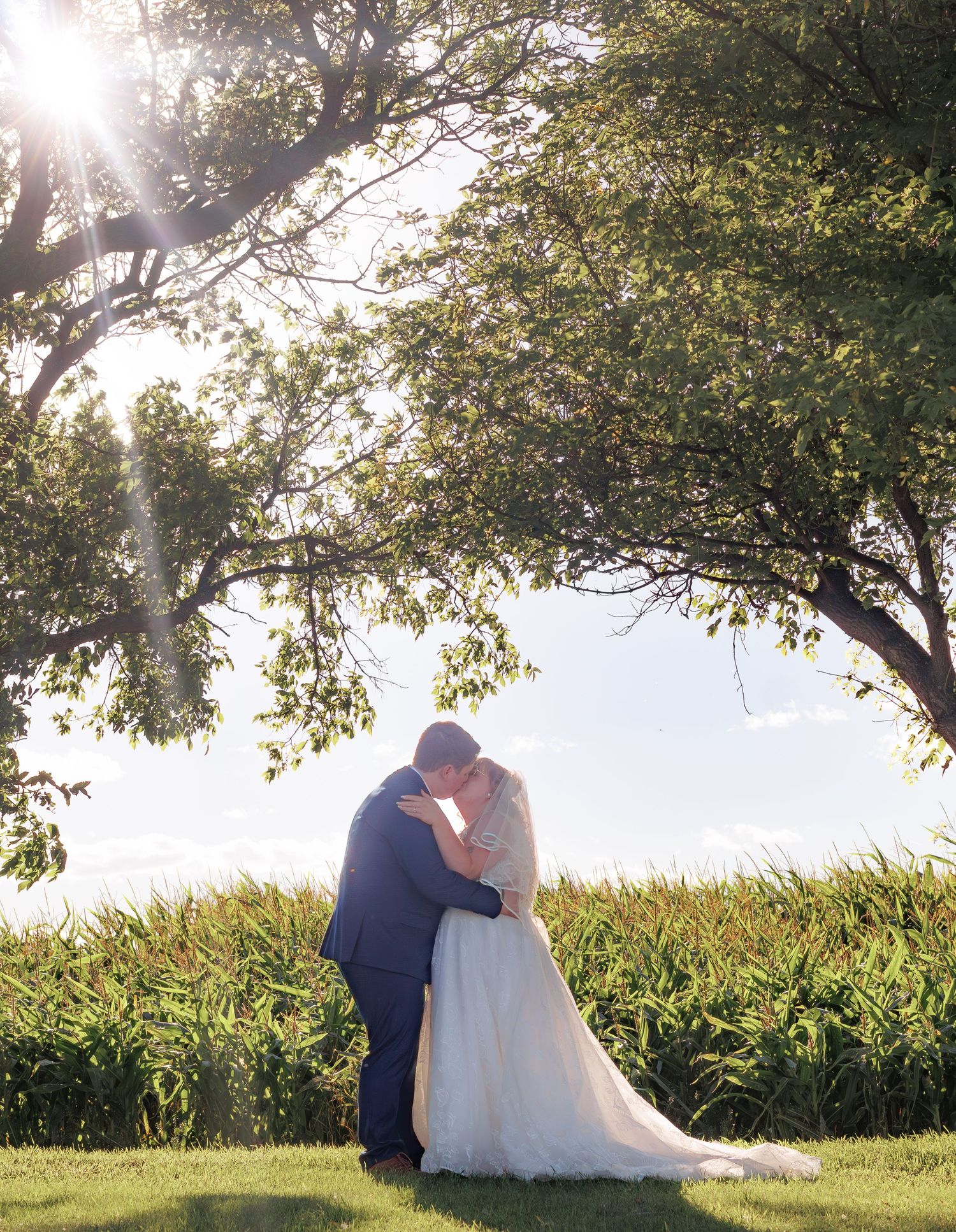 Romantic wedding portraits under a majestic tree with cornfield backdrop at sunset.
