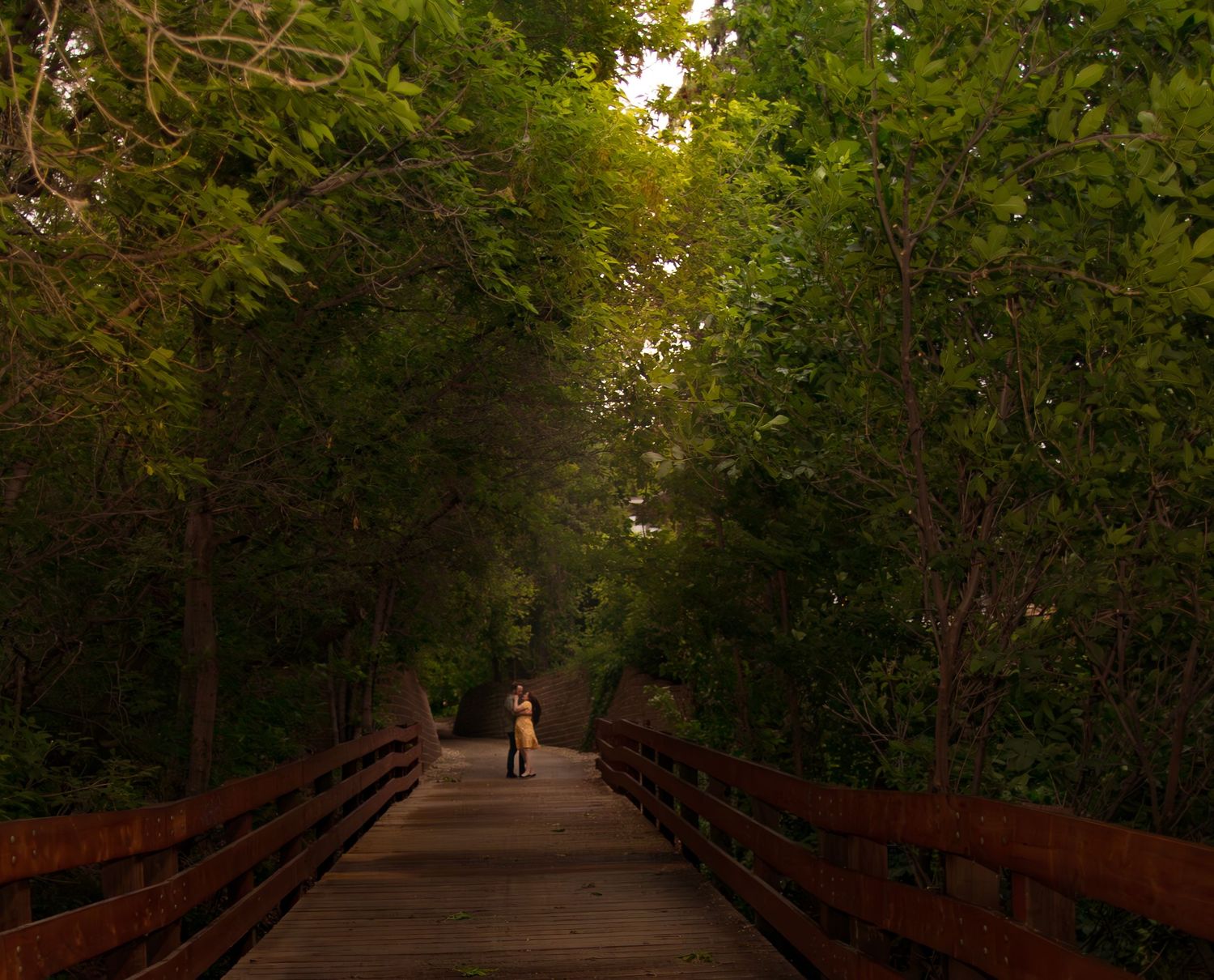 A wooden boardwalk path winds through lush green trees at sunset.