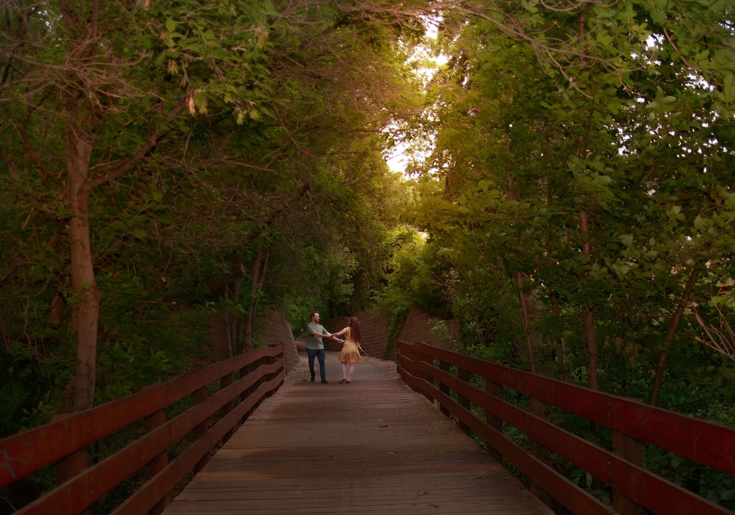 A scenic wooden bridge pathway stretches through a forest during golden hour.