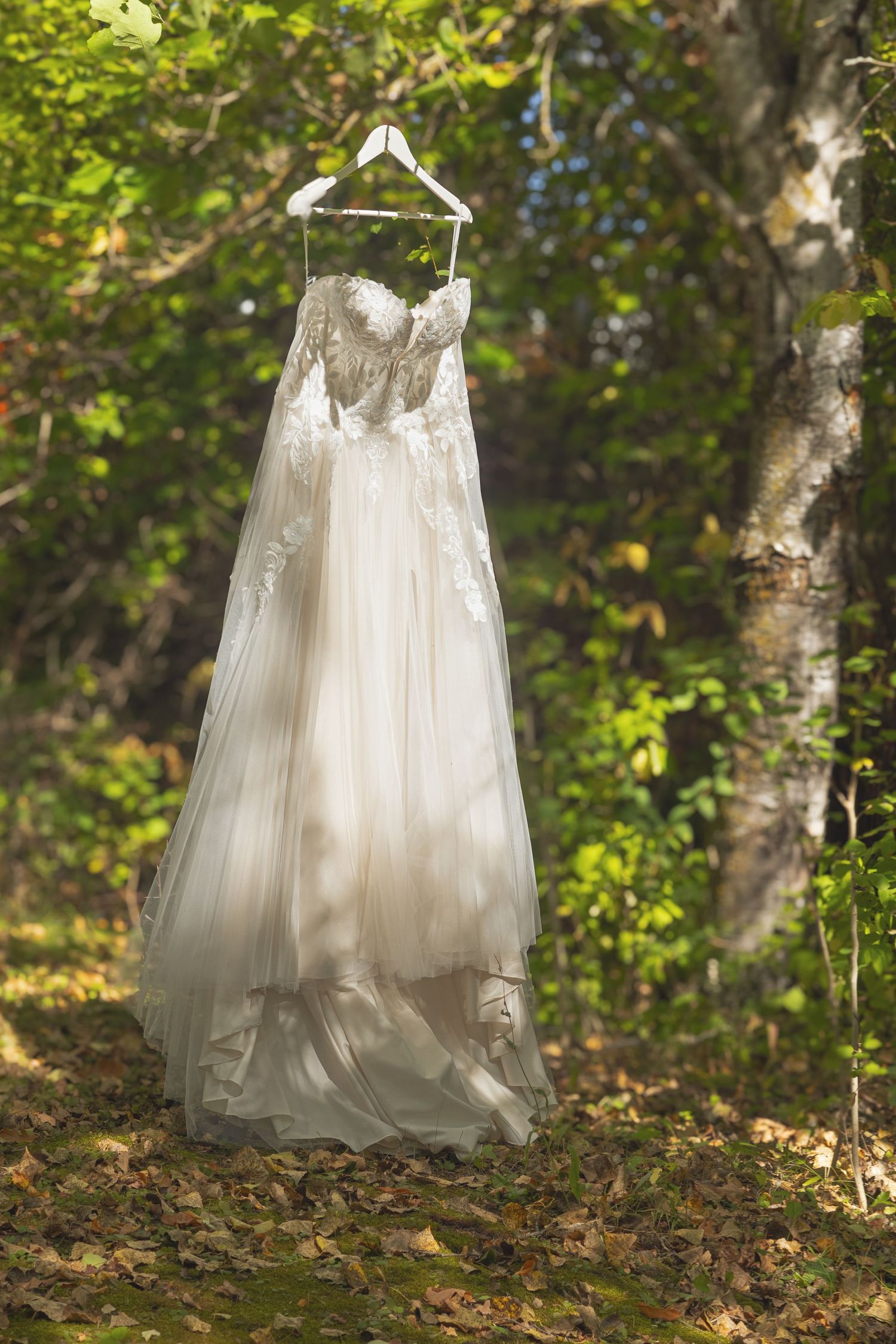 A white wedding dress hangs elegantly among trees in natural lighting.