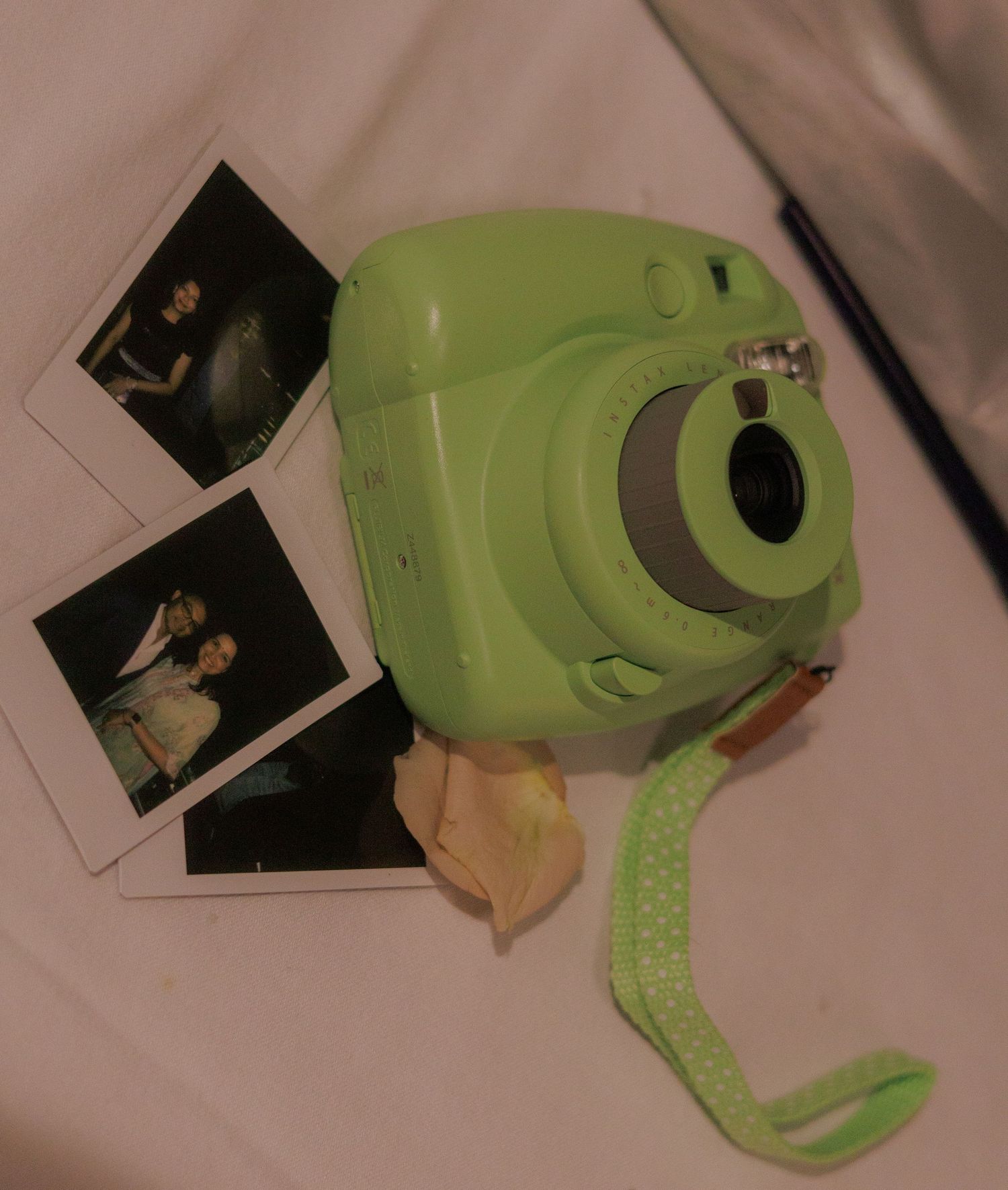 Green plush toy snake displayed against a light background with photographs.