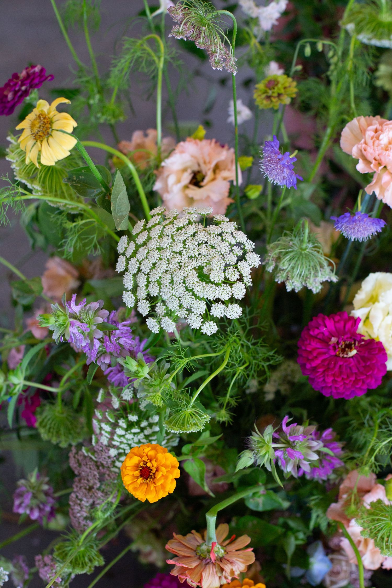 Colorful wildflower arrangement featuring zinnias, Queen Anne's lace, and purple blooms.