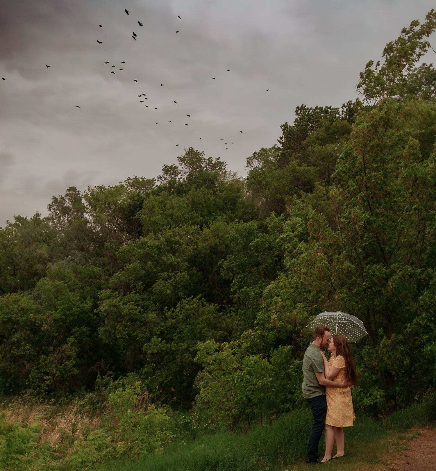 A couple embraces in a meadow under stormy skies with birds flying overhead.