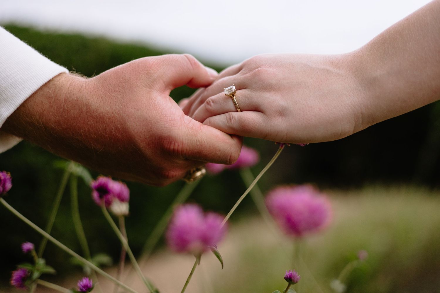Close-up of two hands touching gently among pink and purple wildflowers.