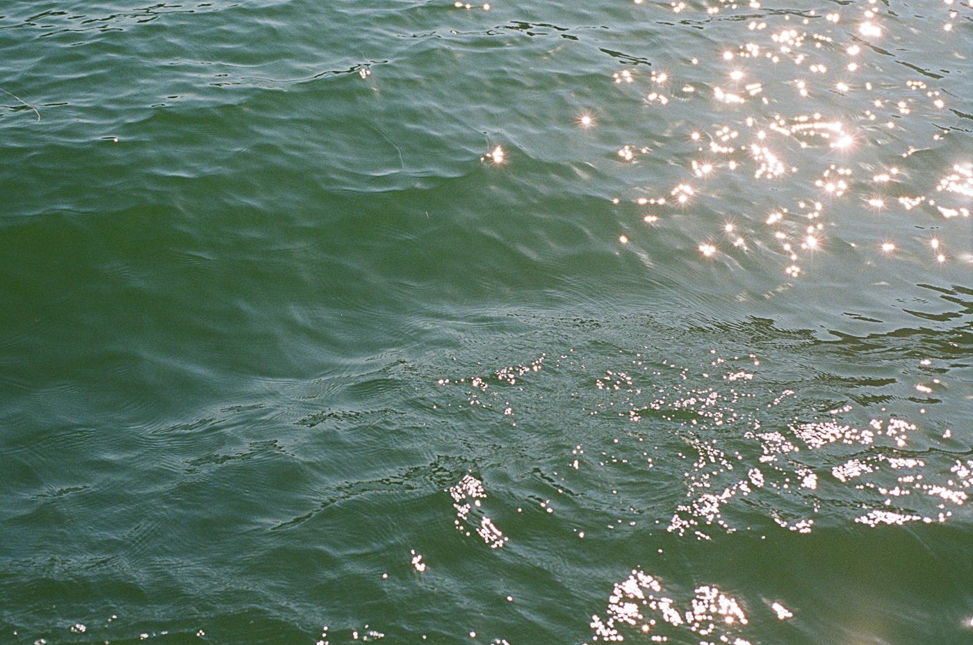 Sunlight sparkles on gently rippling green ocean water surface on a bright sunny day.