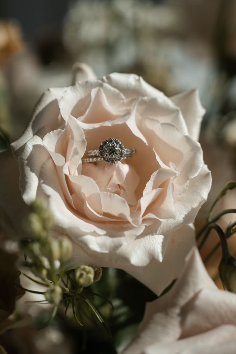 Diamond engagement ring nestled in pale pink rose petals with soft bokeh background.