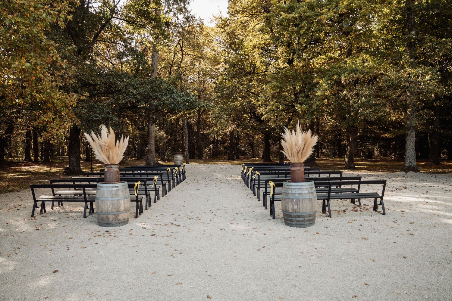 Outdoor wedding ceremony aisle with wooden barrels, pampas grass and bench seating.