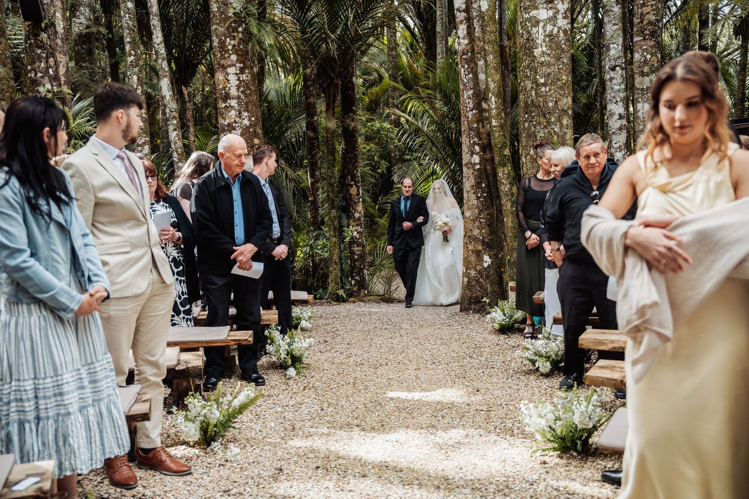 Wedding guests gather along a tree-lined path at an outdoor ceremony venue.