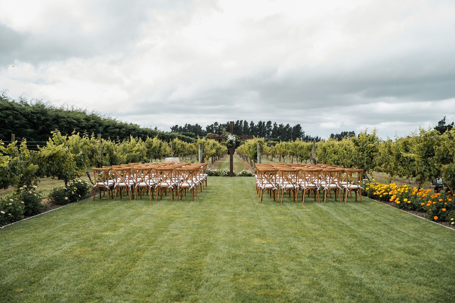 Outdoor wedding ceremony setup with wooden chairs on green lawn surrounded by vineyard rows under cloudy sky.