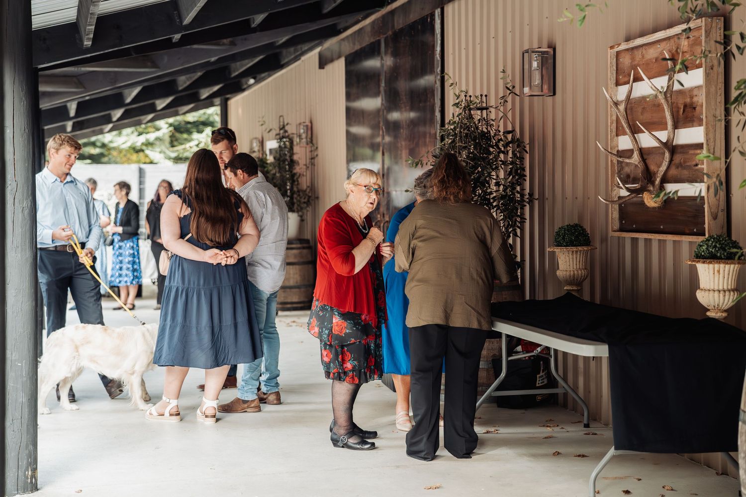 Wedding guests mingling on a covered patio with antler decor and a white dog at an outdoor venue.