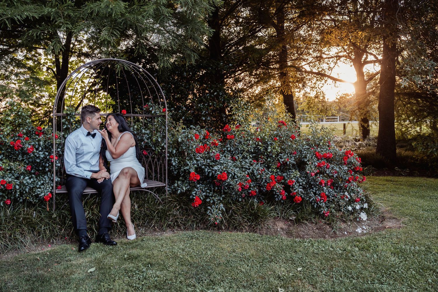 Couple sitting on garden swing surrounded by red roses at golden hour sunset.