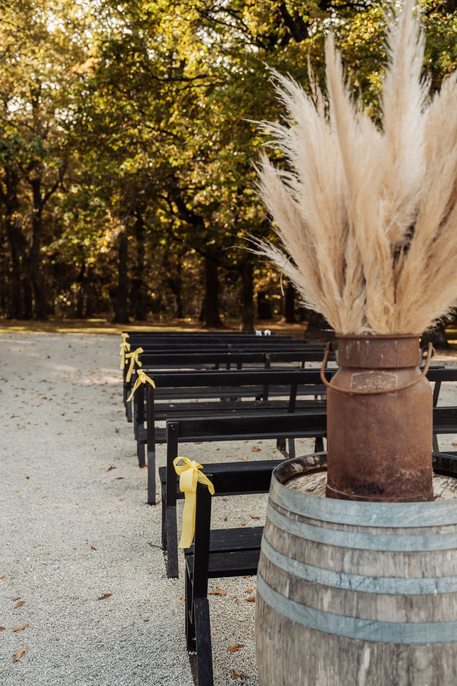 Outdoor wedding ceremony aisle with black benches adorned with yellow ribbons and pampas grass barrel decor.