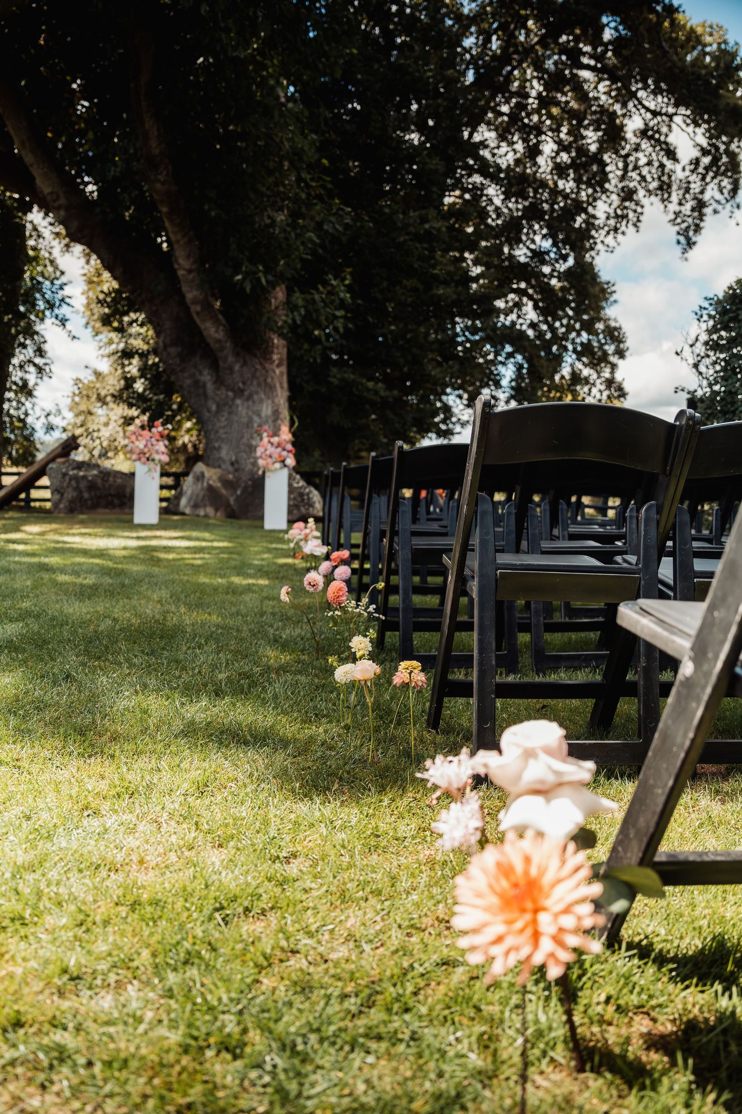 Outdoor wedding ceremony setup with black folding chairs and pink dahlia flowers lining the aisle under trees.